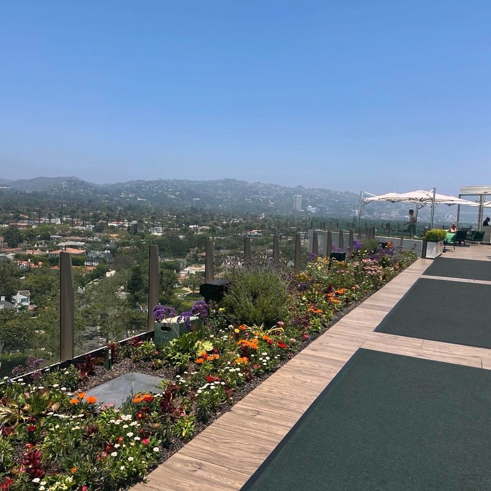 Meet your Posher, my favorites are Chanel, Dior louboutin everything French